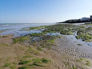 view of the beach in UK