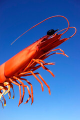 The big prawn with blue sky