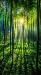 Fototapeta premium Sunlight filtering through a lush bamboo forest, casting long shadows on the forest floor, creating a peaceful and serene nature scene perfect for outdoor and eco-friendly designs.