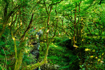 Martvili canyon in Georgia. Beautiful natural canyon with view of the mountain river