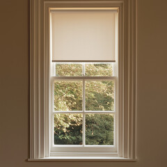 Subtle Interplay: Light and Shade from a Sash Window with Blackout Shades