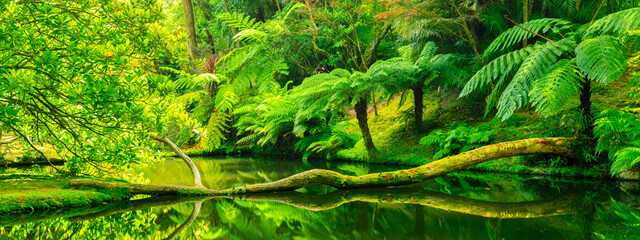 Botanical wild green garden trees and plants