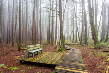 An inviting wooden bench sits on a platform beside a winding boardwalk in a misty forest in Burns...