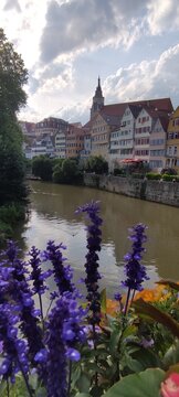 T&uuml;bingen