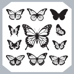Butterfly silhouette icon, Silhouettes of butterflies. Black of funny butterflies. Insect butterfly black silhouette, Set of butterflies