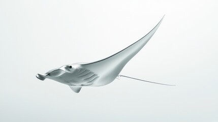 Fototapeta premium Manta Ray Swimming Underwater in Ocean