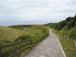 Road to the ocean through green hills. natural park