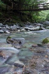 奥祖谷の二重かずら橋　女橋　夏　(徳島県　三好市）