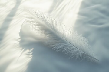 A Single White Feather on a Soft, White Surface