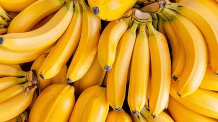 Fresh organic ripe banana fruits. Fresh banana fruits.