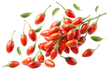 set of goji berry falling in the air on a transparent background PNG