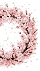 Watercolor spring blooming cherry tree branches wreath, hand painted on a white background
