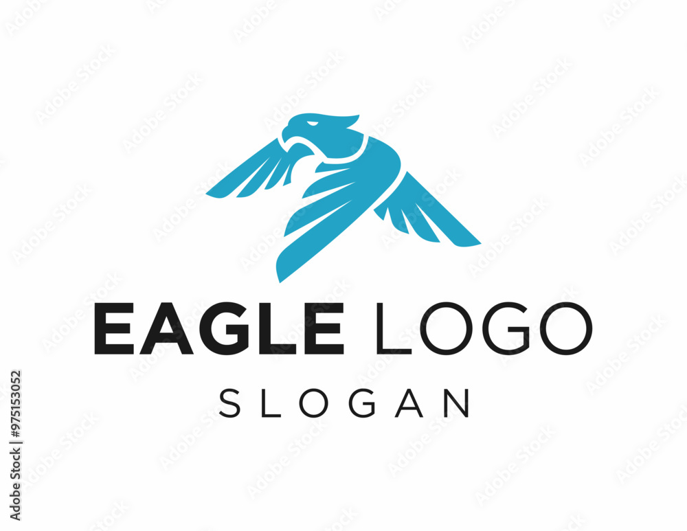 Poster logo about eagle on a white background. created using the coreldraw application.