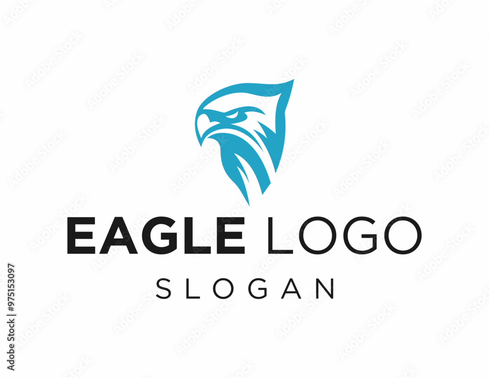 Poster logo about eagle on a white background. created using the coreldraw application.