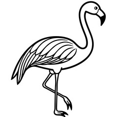  Flamingo line art vector 