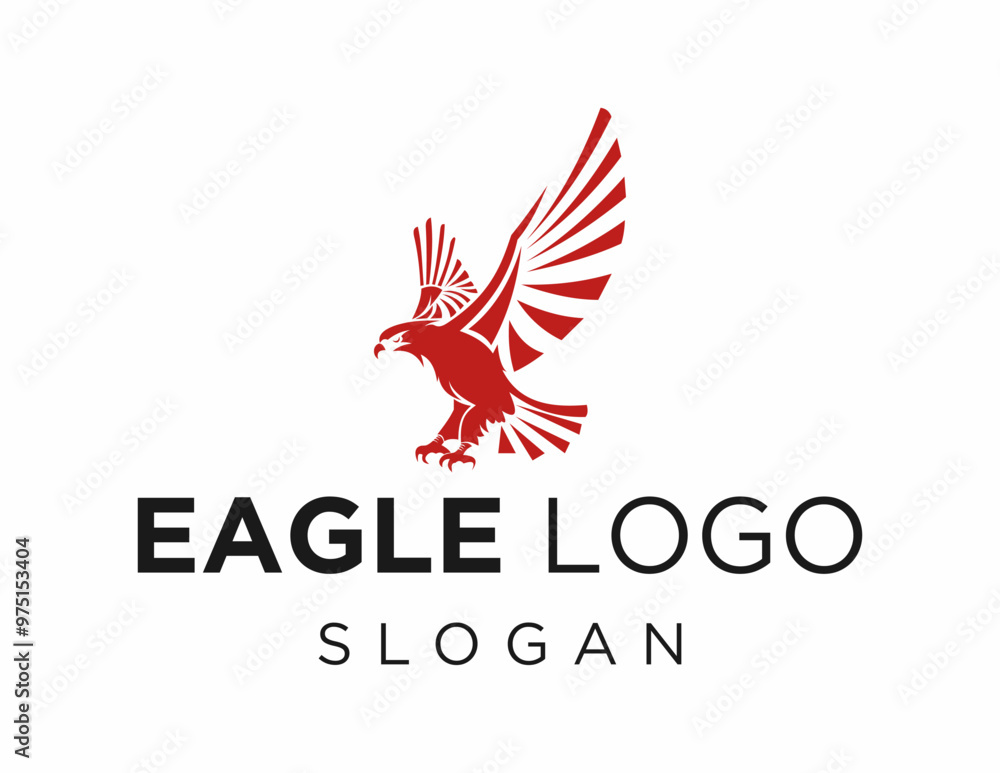 Poster logo about eagle on a white background. created using the coreldraw application.