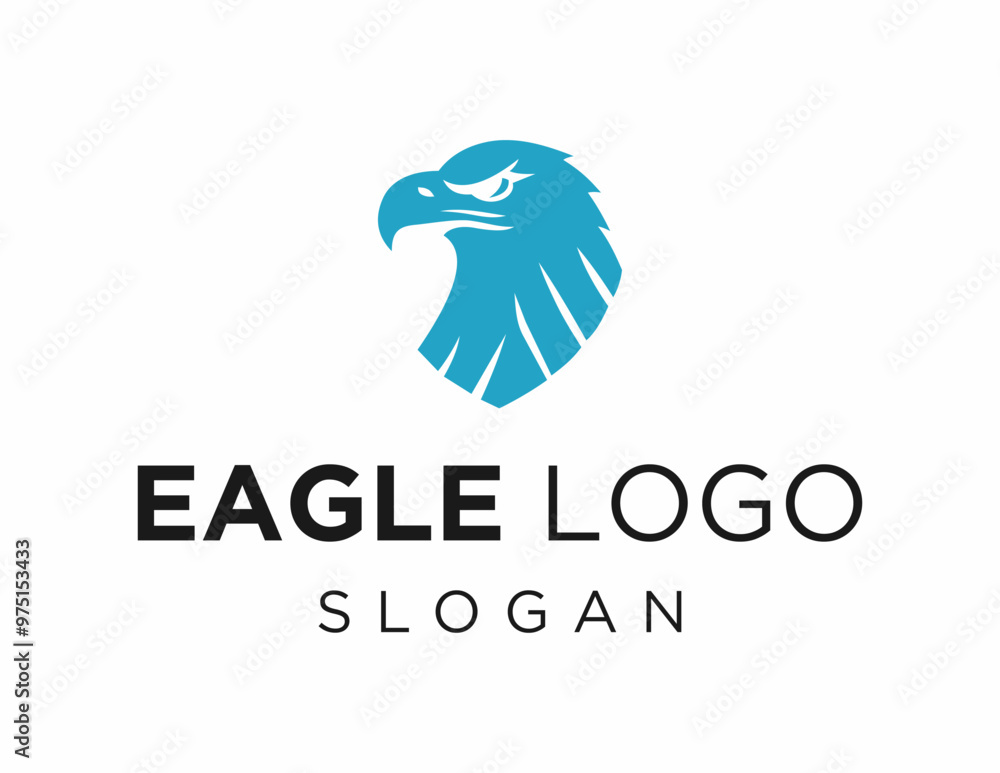 Poster logo about eagle on a white background. created using the coreldraw application.