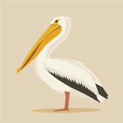 Obraz premium Vector Illustration of a Stylish Pelican in Profile