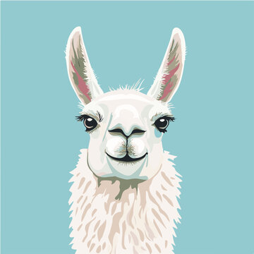 Cute Llama Vector Illustration with Blue Background