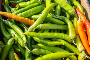 Hot capsicum. Green hot peppers. Spicy natural seasonings. Peppers for cooking spicy food. Capsicums in cardboard box. Fresh vegetables at farmers market. Hot peppers for making sauce