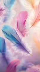 Obraz premium Colorful soft feathers floating against pastel background, abstract nature concept