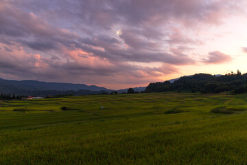 夕暮れの山形　朝日町椹平の棚田