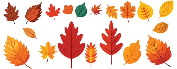 Obraz premium Set of autumn leaves