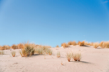 Sand Dunes Against a Blue Sky