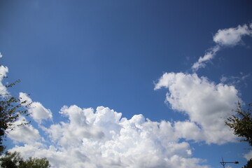 Obraz premium 夏の雲