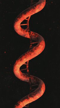 A modern and sleek digital illustration of a snake coiled in a double helix symbolizing energy and life force with a gradient of fiery red and orange shades with metallic copper accents