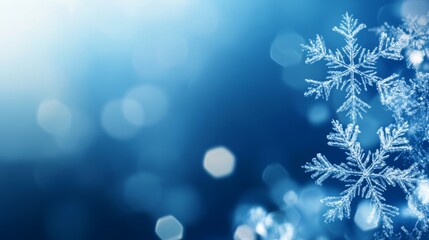 Elegant blue winter banner adorned with delicate snowflakes for seasonal promotion