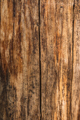 Obraz premium Wood texture full background with lines of cuts and scratches of the tree in the form of a board for wall or furniture or floors of a rustic architecture with geometries
