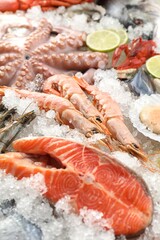 Fresh salmon steak, whole raw octopus and other sea food on ice, closeup