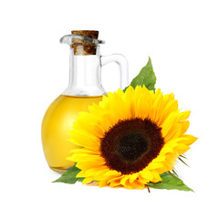 Cooking oil in glass jug and bright sunflower isolated on white