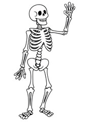 Halloween Themed Friendly skeleton waving or dancing Illustration Best for Casual wear, Men's Clothing, Laptop sticker, Poster, Aprons