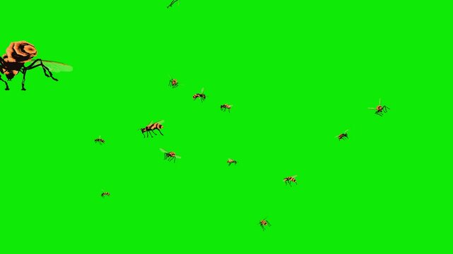 Wild Bees - Large Swarm - Flying Around Screen Loop - Green Screen - Realistic naturalistic 4K UHD 3D animation isolated on chroma key background