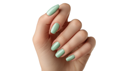Woman's hand with freshly done green nails on transparent background