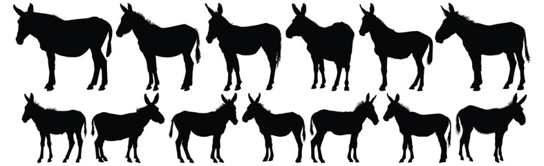 Donkey silhouette set vector design big pack of animal illustration and icon