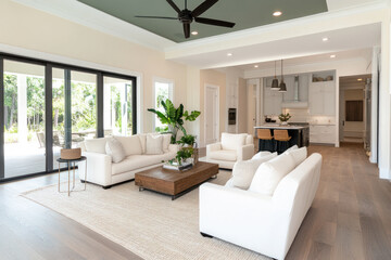 Modern American style living room with wood flooring and green accents