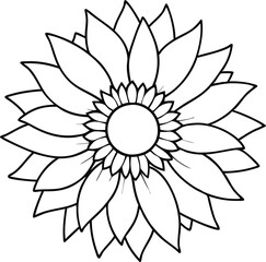 sunflower vector illustration 