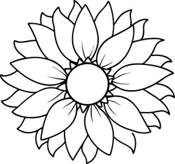 sunflower vector illustration 