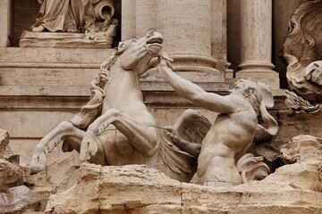 Trevi Fountain Rome