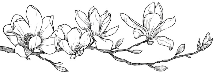 Obraz premium A drawing of a branch with three flowers on it