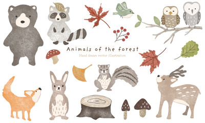 かわいい森の動物と植物のイラスト