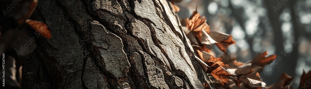 Poster close-up view of a textured tree bark with autumn leaves adding a natural touch to the serene forest