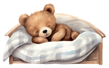 PNG Bear furniture sleeping mammal.