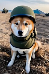 Shiba Inu dog in world war 3 wearing protection armor. survival for fittest. Generative AI