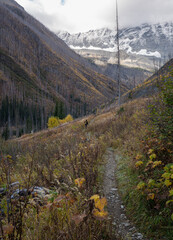 Obraz premium landscape in the mountains