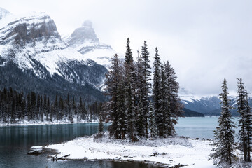 snow covered mountains