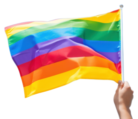 PNG Flag rainbow holding hand.